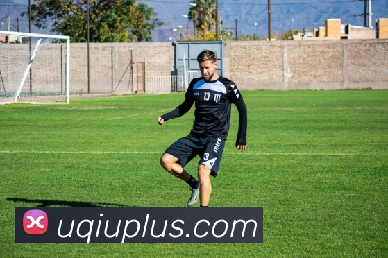 U球体育平台生态图